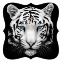 - Sublimasyon Foto Metal 20X20 cm  - Sublimasyon Foto Metal 20X20 cm