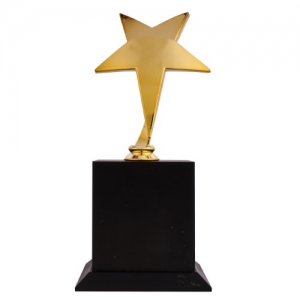 - Sublimasyon Yıldız Figürlü Ödül Kupası 22 cm  - Sublimasyon Yıldız Figürlü Ödül Kupası 22 cm