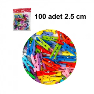  - Renkli Ahşap Mandal 2,5 cm (100 adet)