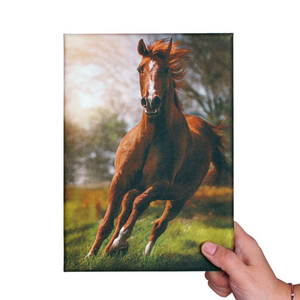 Sublimasyon A4 Kanvas Tablo 18,5x27 cm - 4