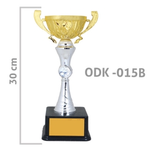 - Sublimasyon Winner Ödül Kupası 30 cm  - Sublimasyon Winner Ödül Kupası 30 cm